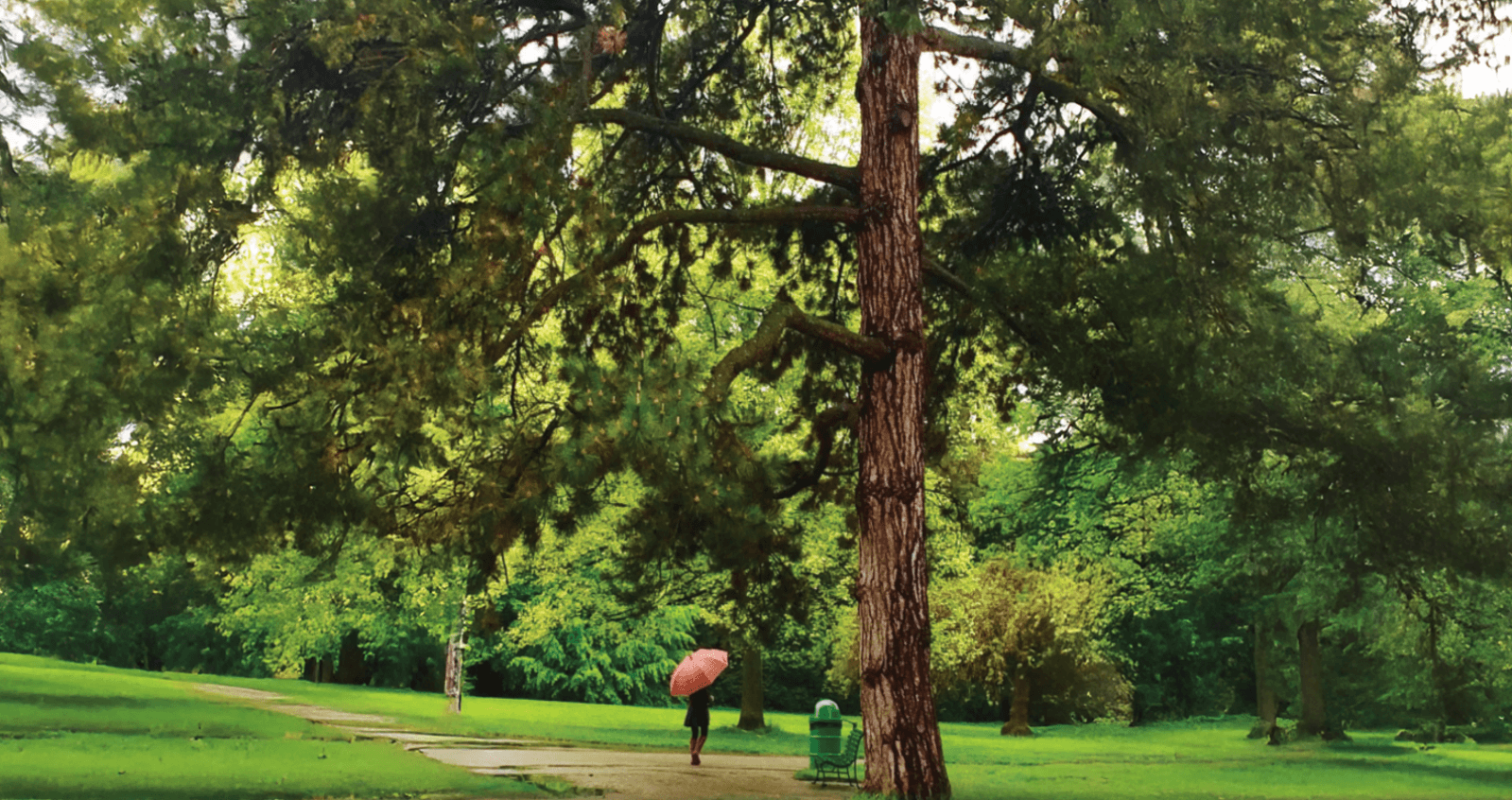 DDJAY plots in Sonipat